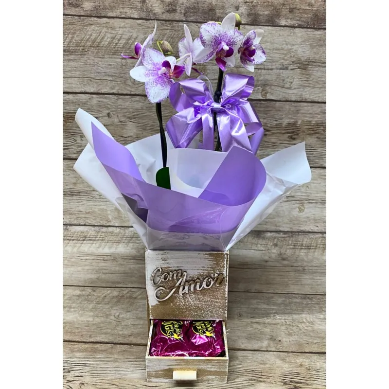 Mini Orquídea 2 Hastes Pote 9 - Cor Variada + Chocolate